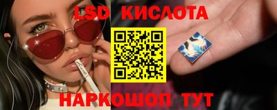 спайс Донской