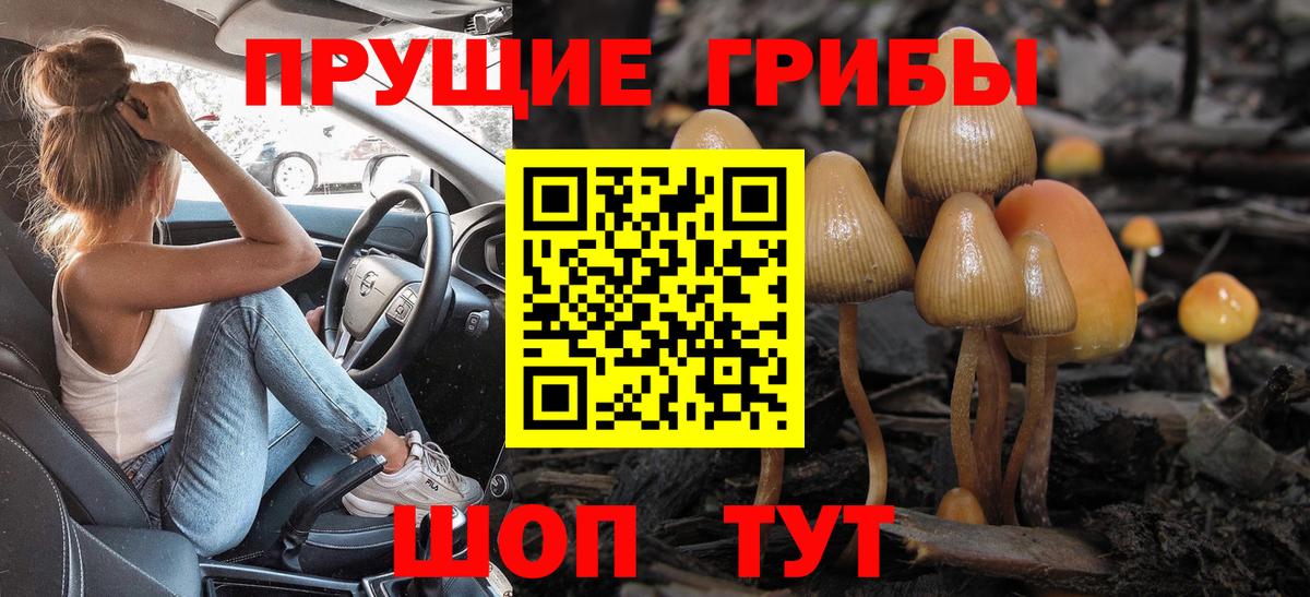 Псилоцибиновые грибы прущие грибы Камень-на-Оби